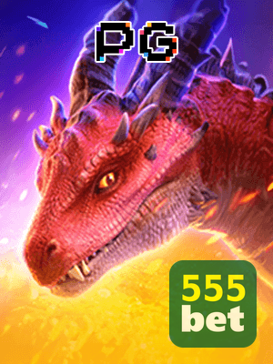 Recursos App 555BET